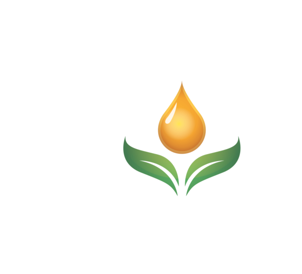 Care By Design - Illustration Clipart (600x546), Png Download