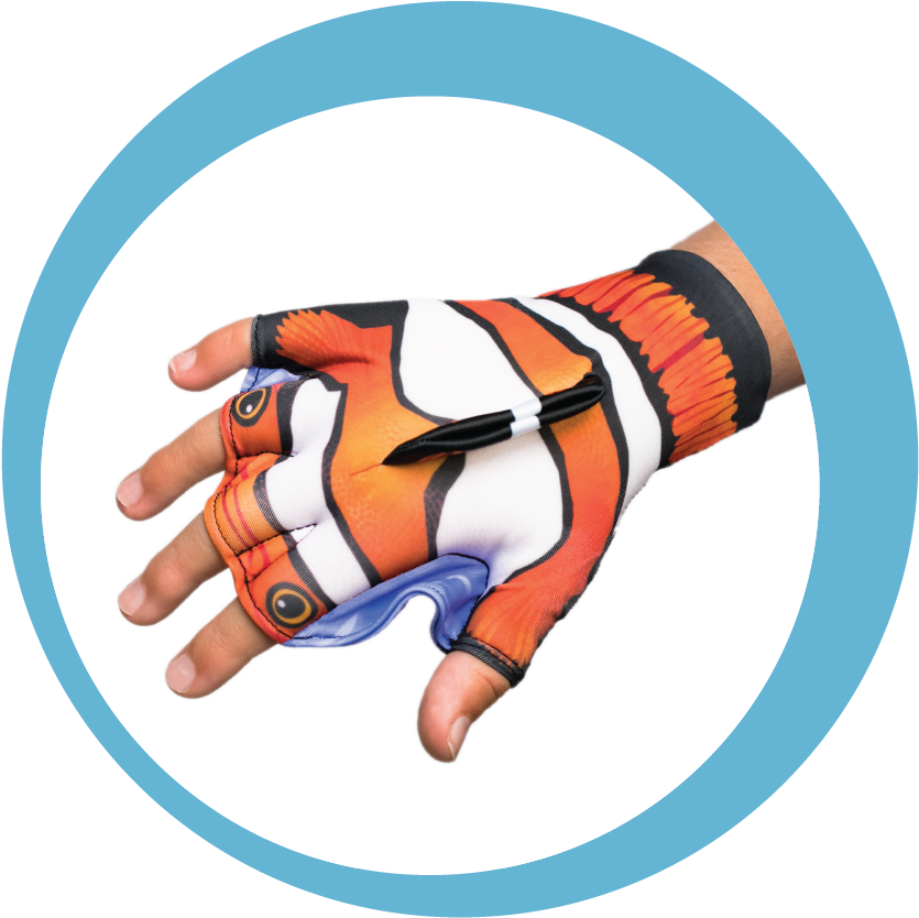 Load Image Into Gallery Viewer, Clown Fish Clipart (835x834), Png Download