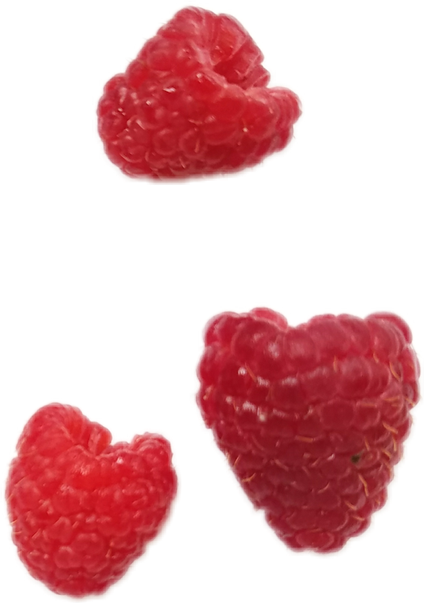 #raspberries #raspberry #png #aestheticpng #nichememe - Wine Raspberry Clipart (1024x1024), Png Download