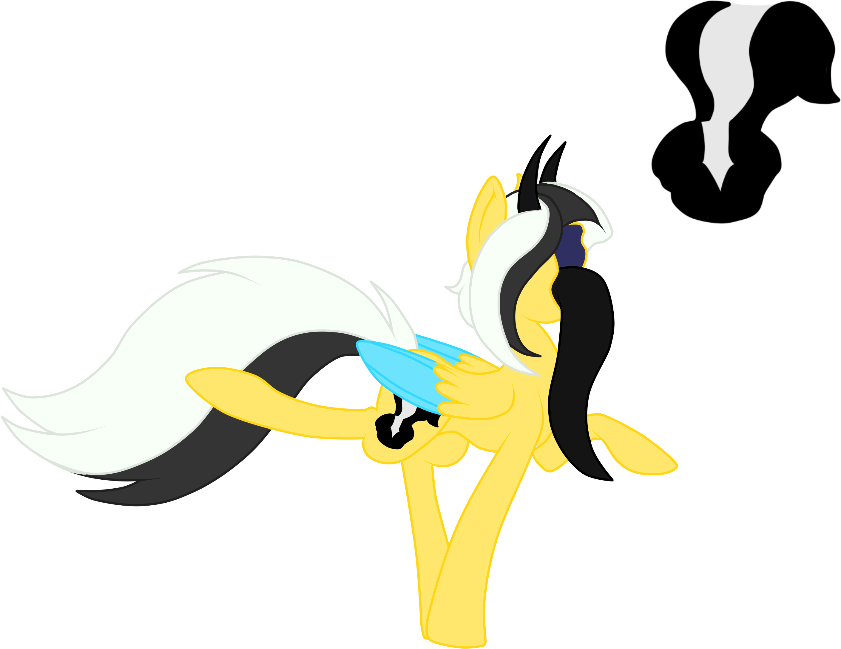 Skunk - Illustration Clipart (3000x3000), Png Download