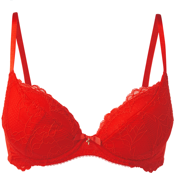 Bra Png Image - PNG Image Collection