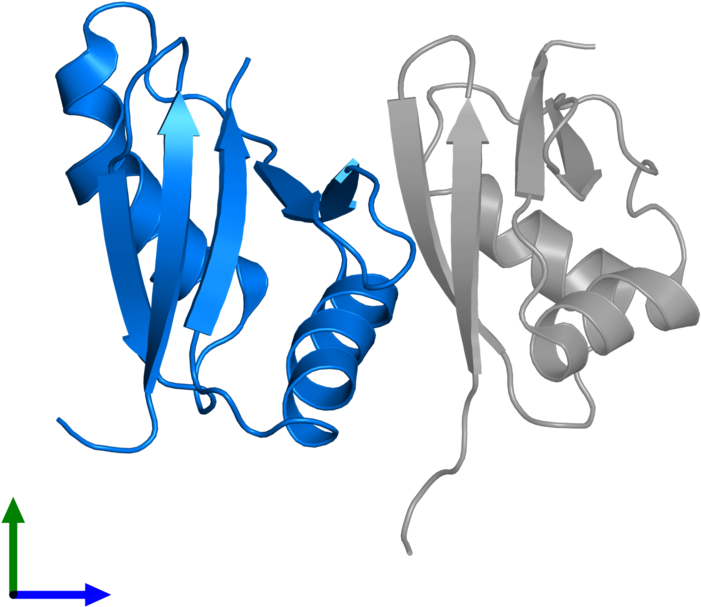 <div Class='caption-body'>pdb Entry 2kfk Contains 1 - Illustration Clipart (800x800), Png Download