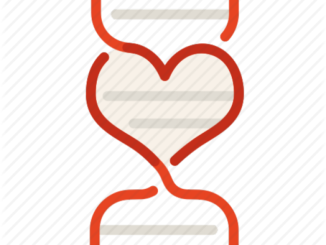 Dna Structure Clipart Genetic Counselor - Illustration - Png Download (640x480), Png Download