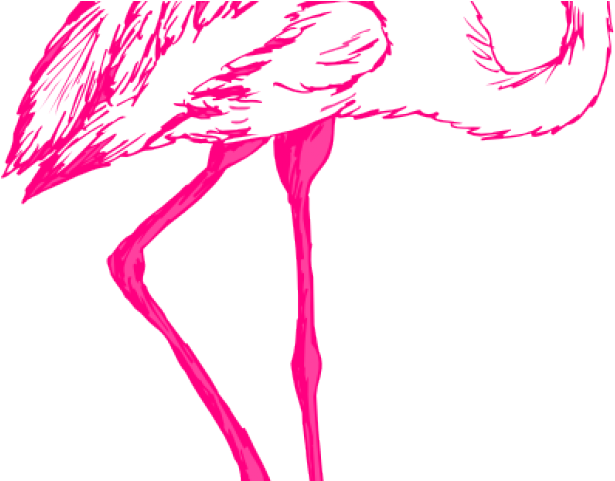 Flamingo Clipart Float - Transparent Background Flamingo Bird Png (640x480), Png Download