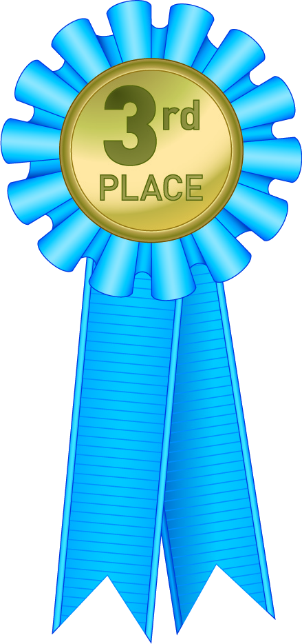 Ribbon Thirdplace - Medal Vector Clipart (439x934), Png Download