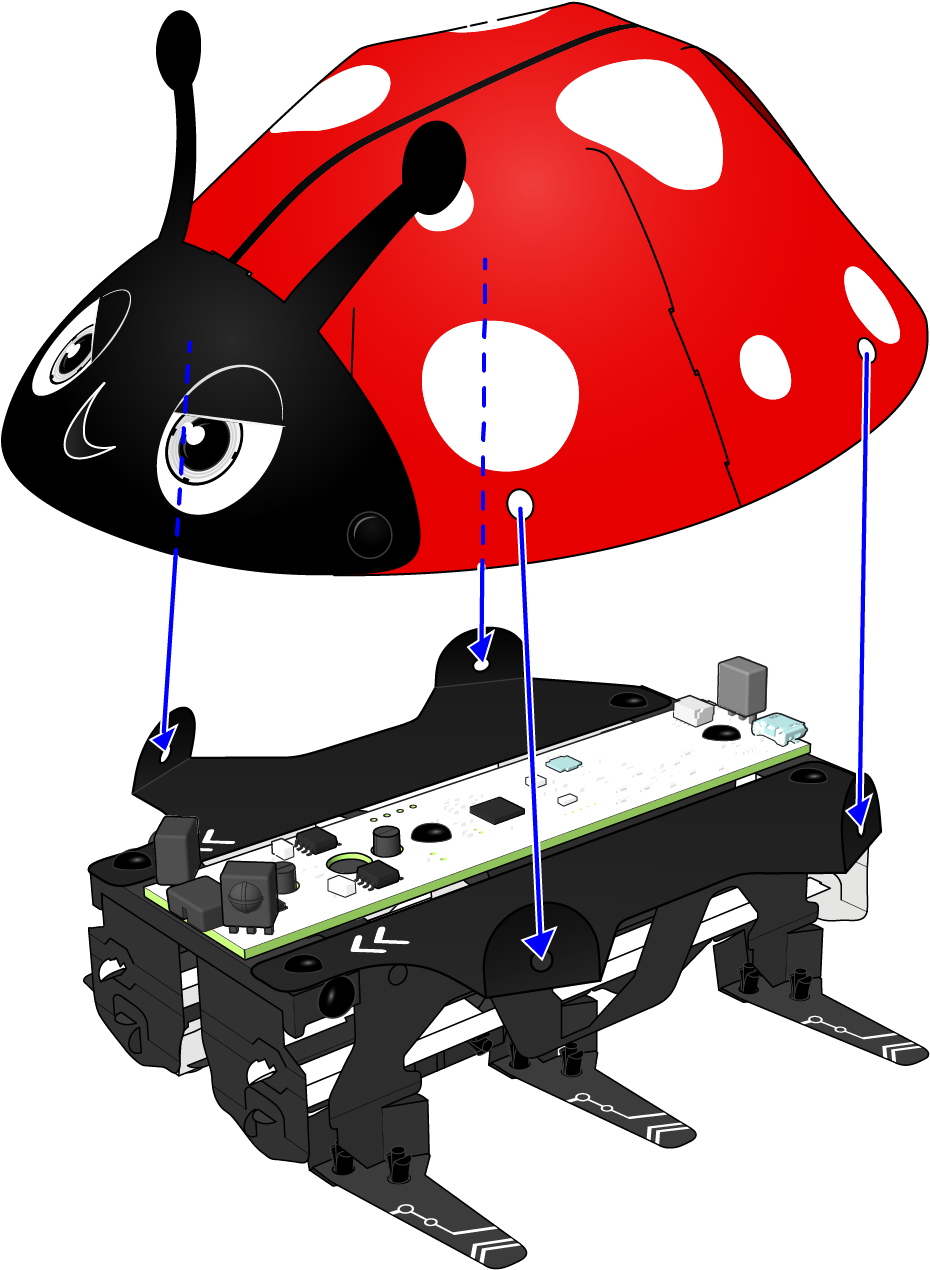 Attach Top Of Shell To Body By Riveting In Place As - Ladybug Clipart (1275x1491), Png Download