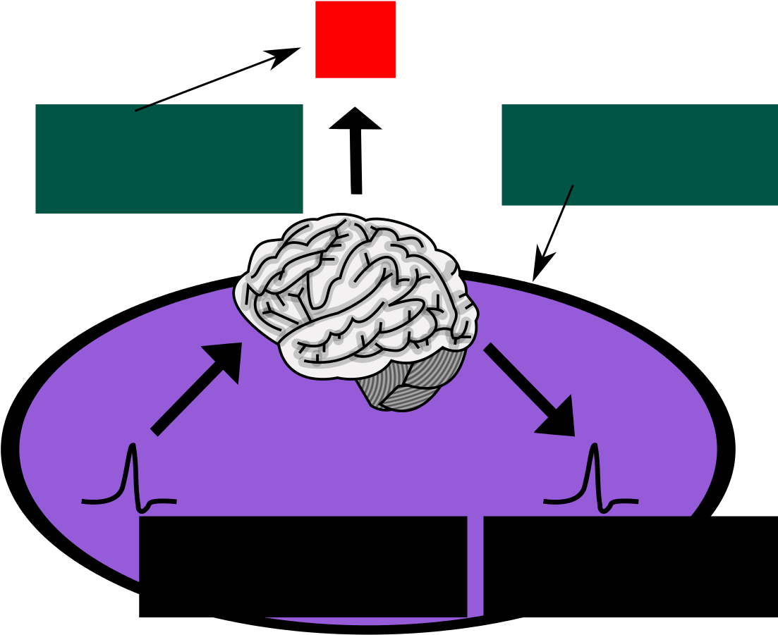 Consciousness Phenomenal-functional - Hard Problem Of Consciousness Clipart (1141x1024), Png Download