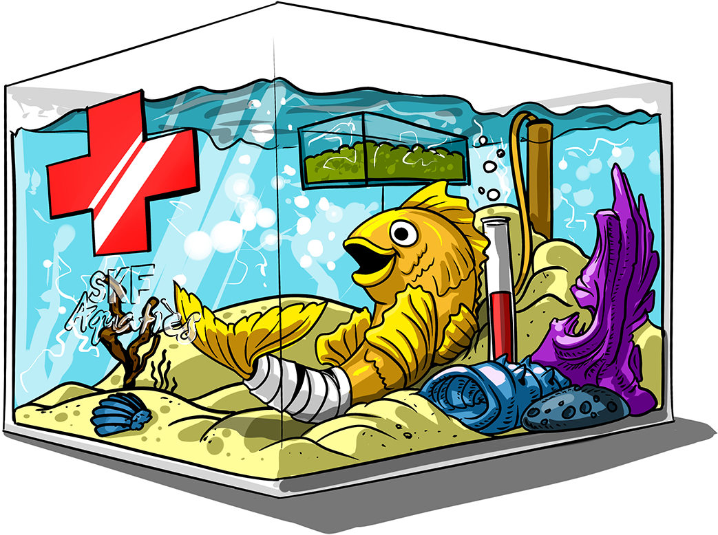 Out Fish Or Any Aquatic Animal Ownership Clipart (1043x778), Png Download