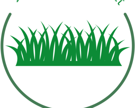 Grass Clipart (800x450), Png Download