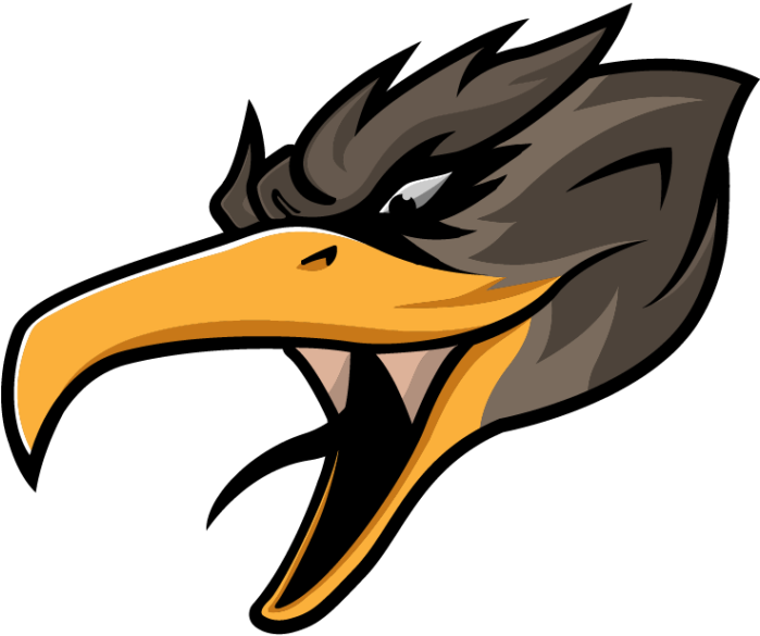 Eagle Clipart (1024x1024), Png Download