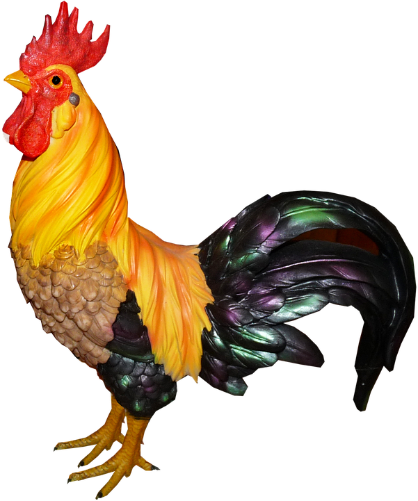 Book Of The Year Of The Rooster - Kogut Png Clipart (663x720), Png Download