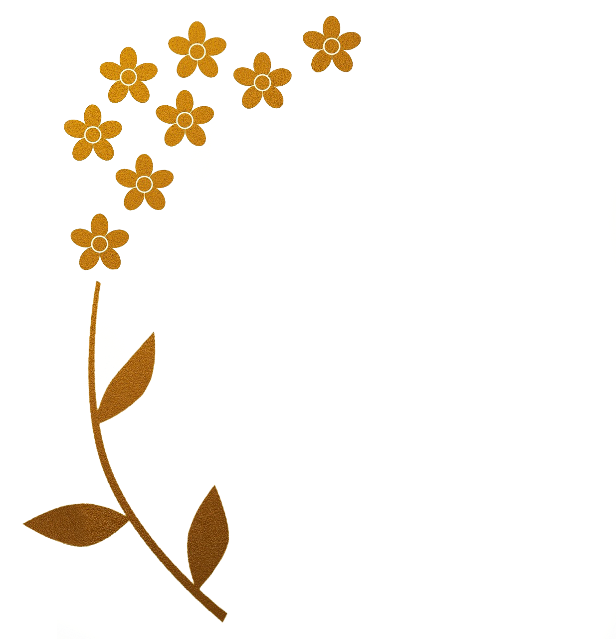 Meet Alysim - Floral Border Design Gold Clipart (1280x1280), Png Download