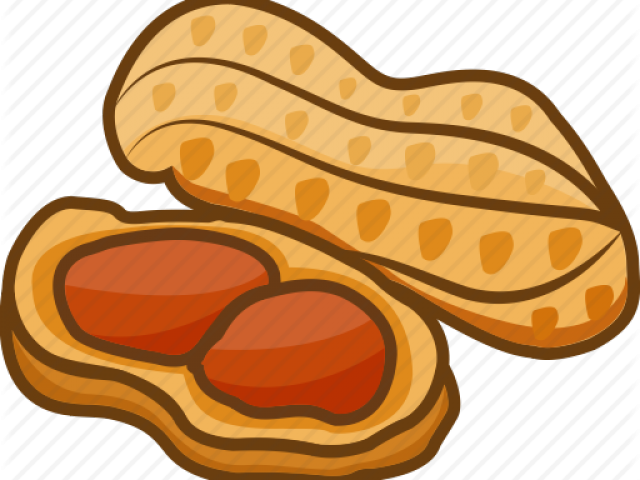 Peanut Clipart - Png Download (640x480), Png Download