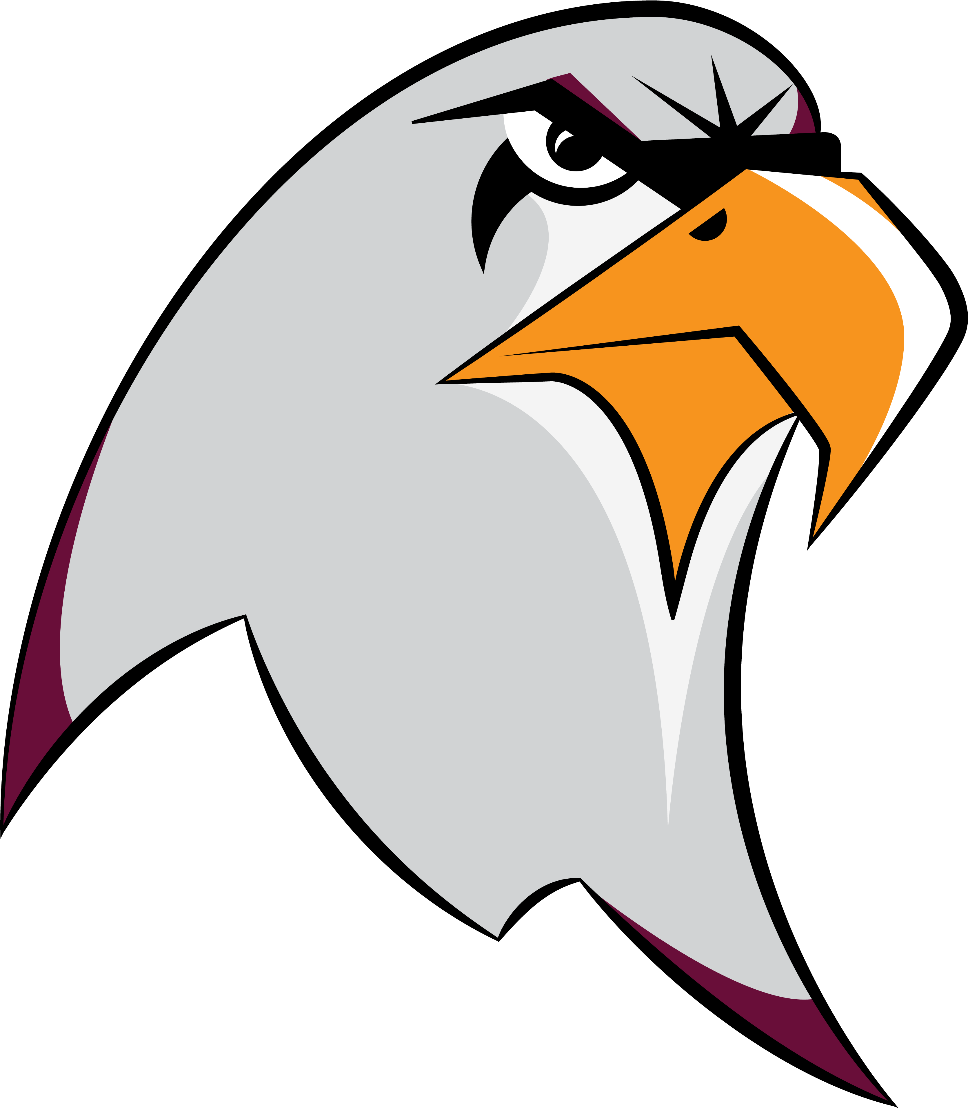 2 Eagle Mascot Just Head Sol Clipart (4815x4815), Png Download