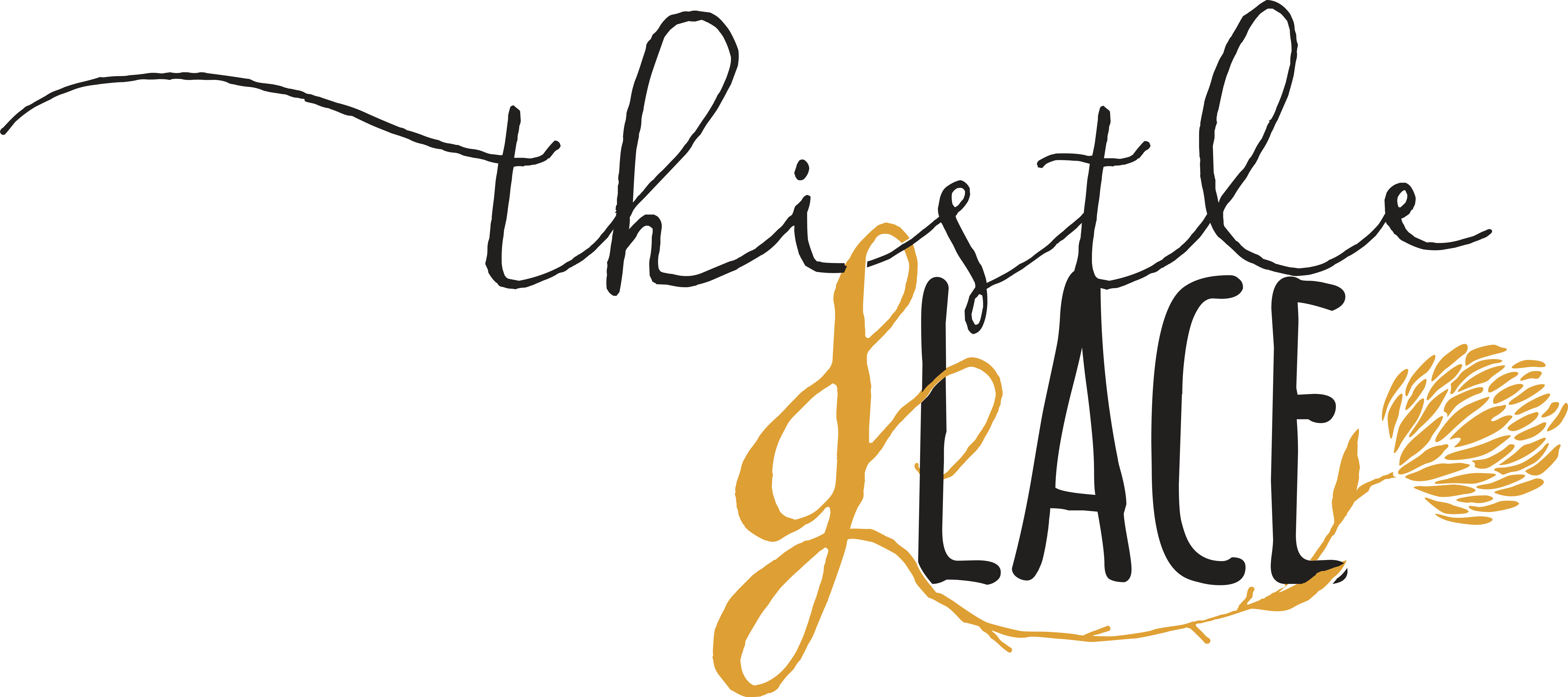 Thistlelace Primary 1 Switch428 4294967268 1 - Calligraphy Clipart (6341x2820), Png Download