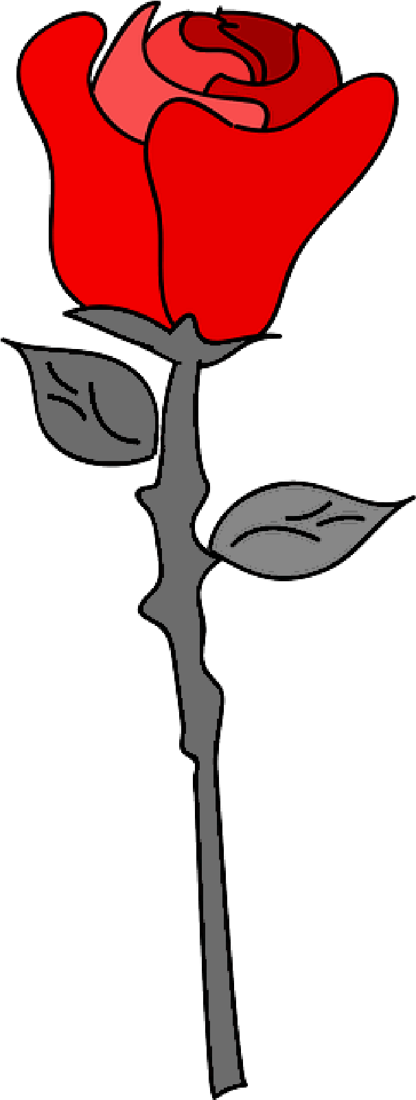 Cartoon Rose Clip Art - Clip Art Svgz - Png Download (800x1600), Png Download
