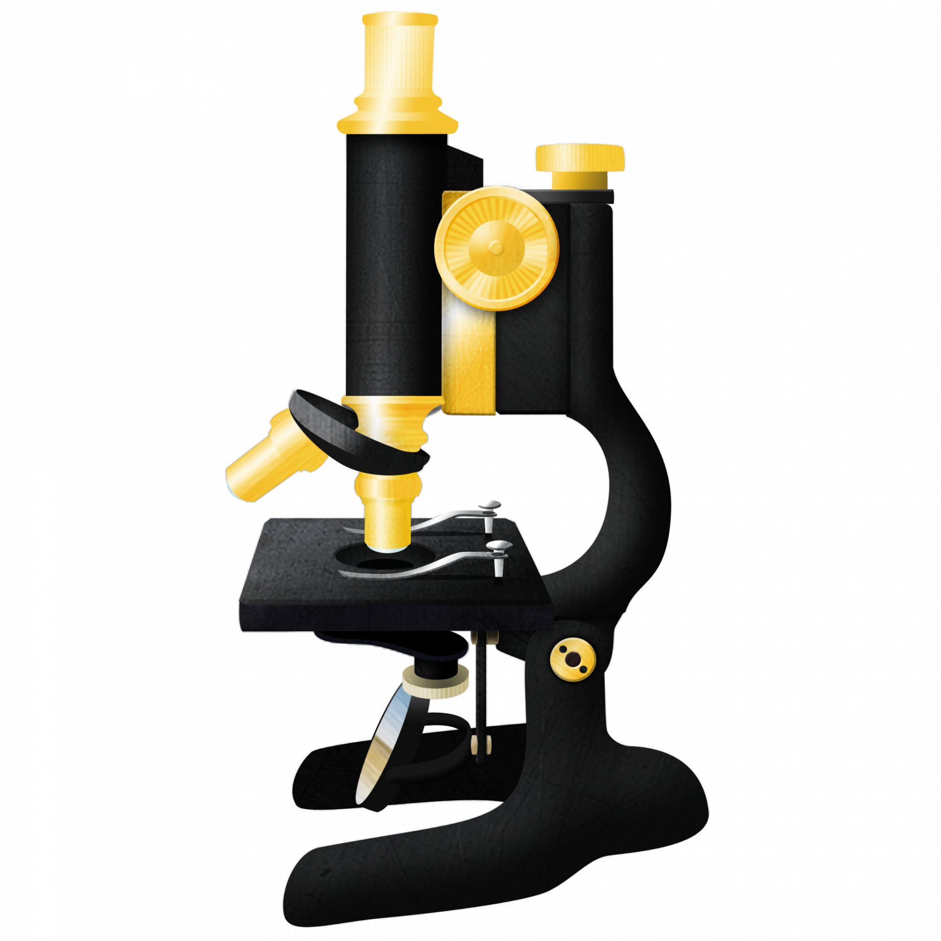 1920px Imagej2 Icon - Imagej Download Clipart (1920x1920), Png Download