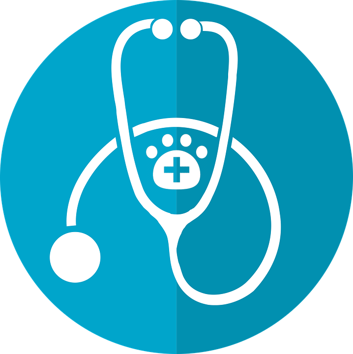 Vet Icon - Petsoholic - Petsoholic - Icon Primary Care Physician Clipart (718x720), Png Download