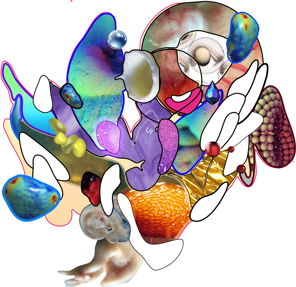 How We Do We Reach A State Where We Finally Feel Fine - Cartoon Clipart (1000x943), Png Download