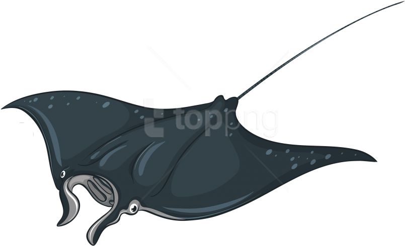 Download Skate Fish Clipart Png Photo - Manta Clipart Ray Fish Transparent Png (850x509), Png Download