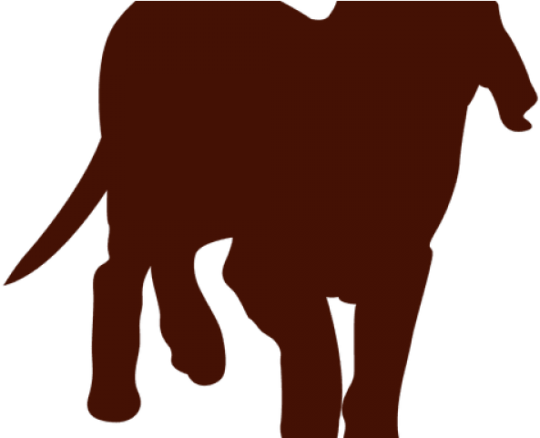 Pitbull Clipart Paw Print - Png Download (640x480), Png Download