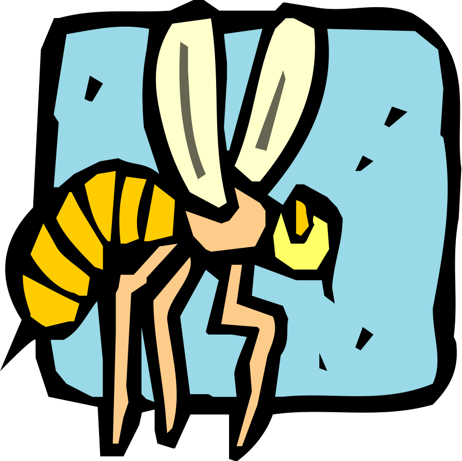This Free Clip Arts Design Of Insect 12 Png Transparent Png (900x897), Png Download