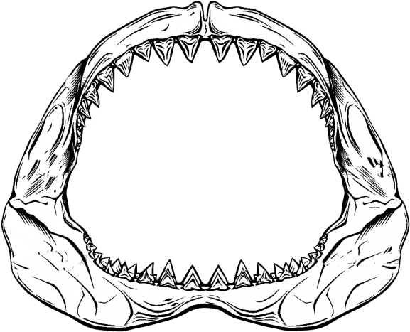 Drawn Shark Jaws Shark - Drawing Of Shark Jaws Clipart (640x480), Png Download