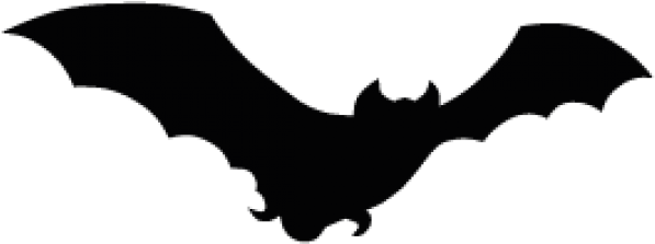 Shape Clipart Bat - Bats With A Transparent Background - Png Download (640x480), Png Download