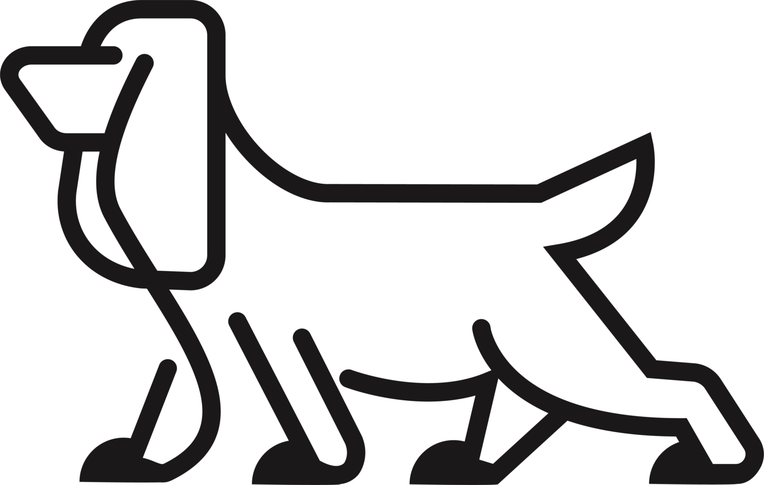 Cocker Spaniel Png File Free Download - 강아지 Png Clipart (1560x990), Png Download