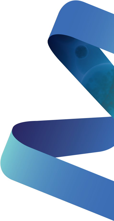 Scientists, Artists, Masters Of Communication, And - Fin Clipart (475x949), Png Download