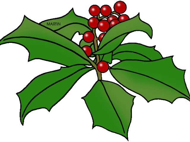 Holley Clipart Holly Branch - Png Download (640x480), Png Download
