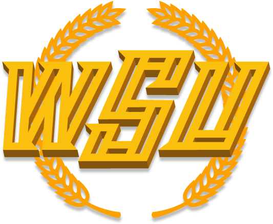 Wsu Logo Png - Logo University Of Wichita Clipart (576x576), Png Download