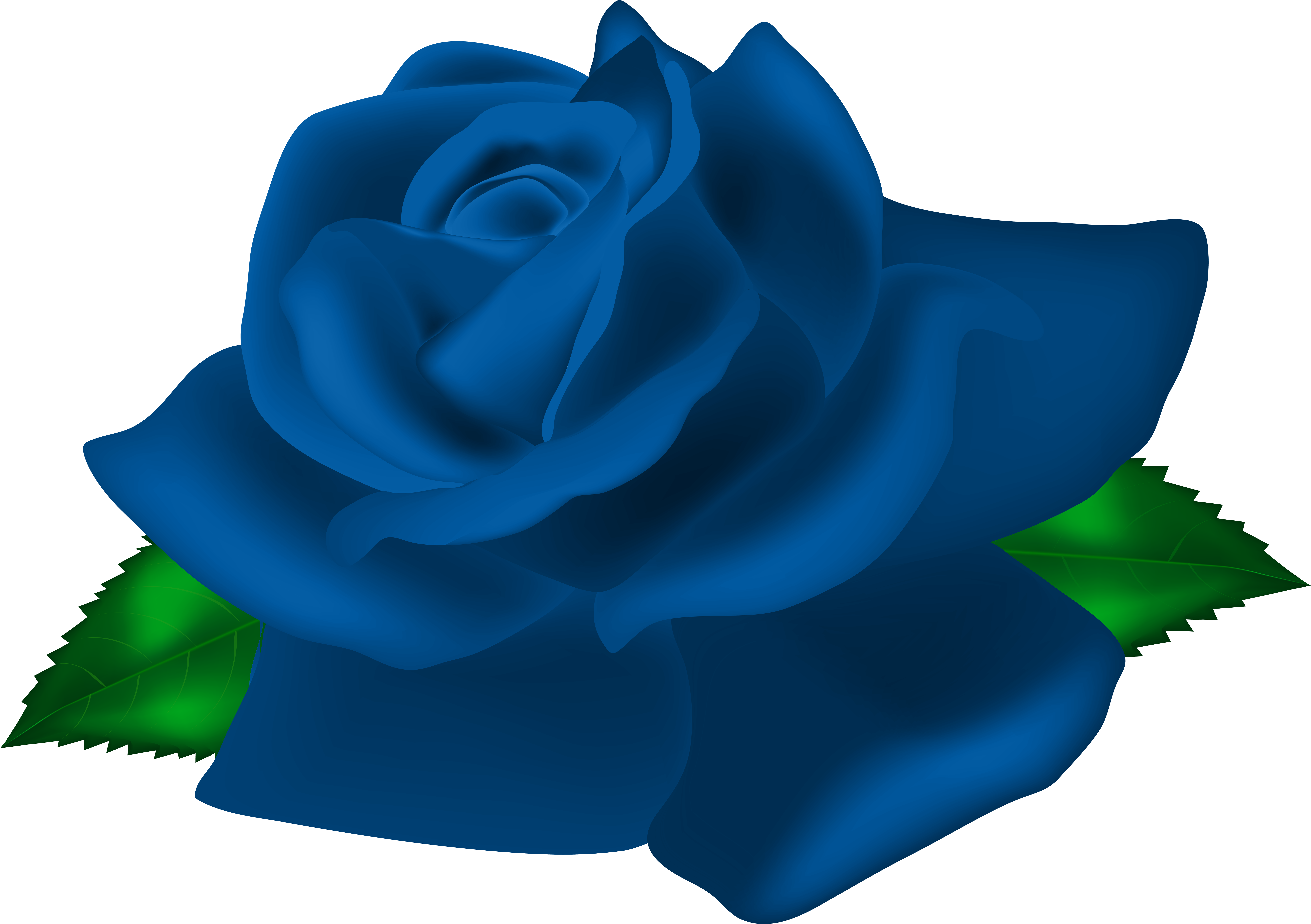 Free Png Download Blue Rose Deco Png Images Background - Clip Art Transparent Png (850x603), Png Download