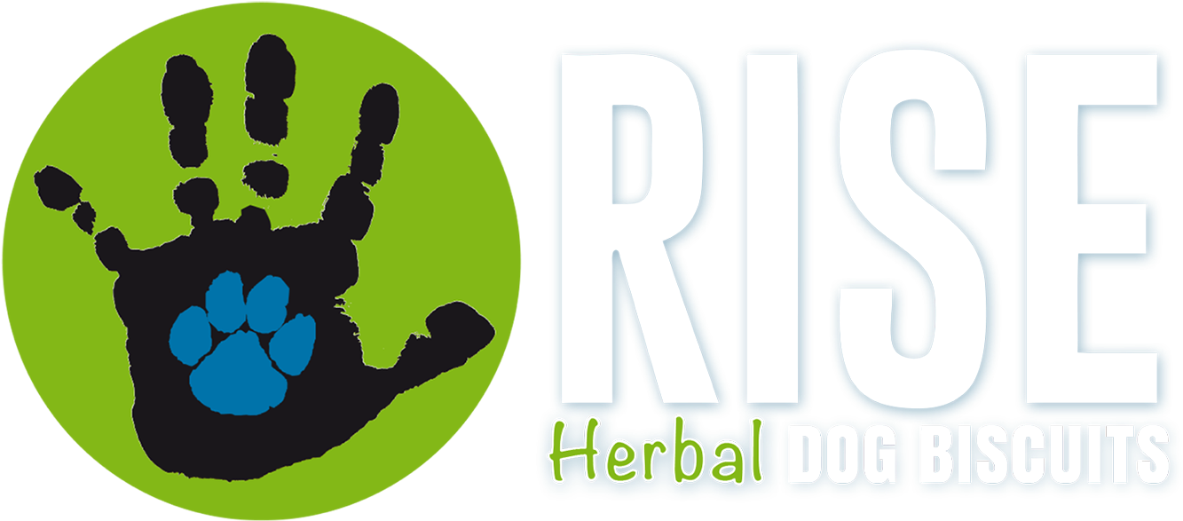 Rise Biscuits - Graphic Design Clipart (1396x633), Png Download