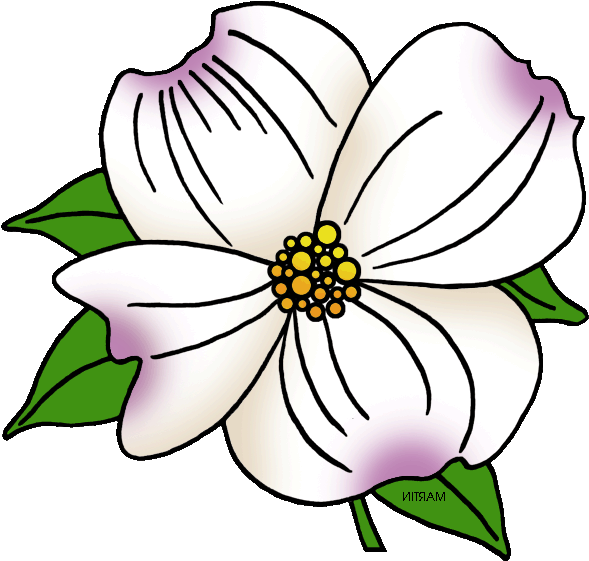 Clipart Of Carolina, Virginia State And North Carolina - Png Download (648x592), Png Download