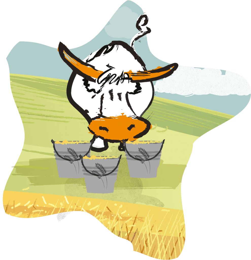 Our Spent Grain Goes To The Longhorn Cattle On The - Cartoon Clipart (989x1024), Png Download