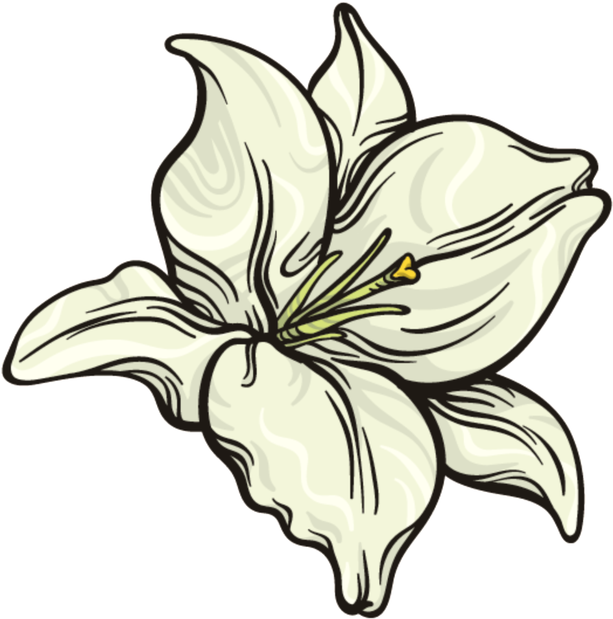 This Graphics Is Snow White Flower Png Transparent Clipart (894x903), Png Download
