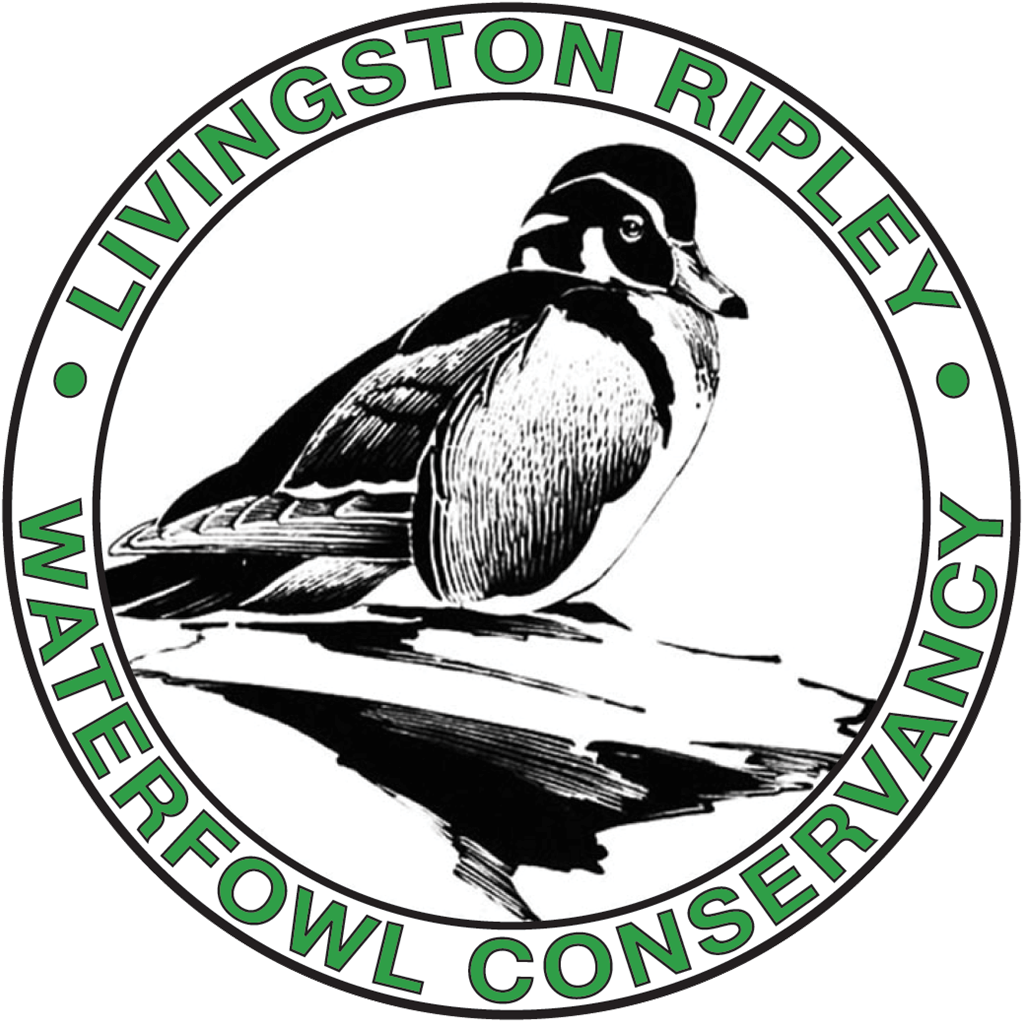 Give Local Greater Waterbury And Litchfield Hills - Department Of Energy Clipart (1035x1034), Png Download