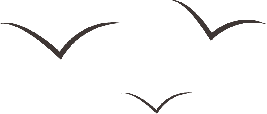 Birds Clipart (863x369), Png Download