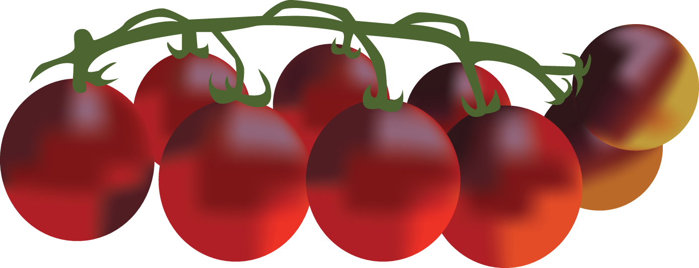 Canadian Renegade - Cherry Tomatoes Clipart (1390x534), Png Download