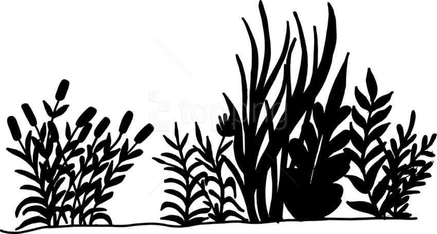 Free Png Nature Background Silhouette Png Images Transparent - Vegetation Silhouette Png Clipart (850x456), Png Download