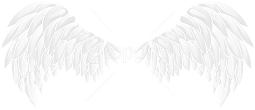 Free Png Download White Wings Clipart Png Photo Png - White Wings Png Transparent Png (850x373), Png Download