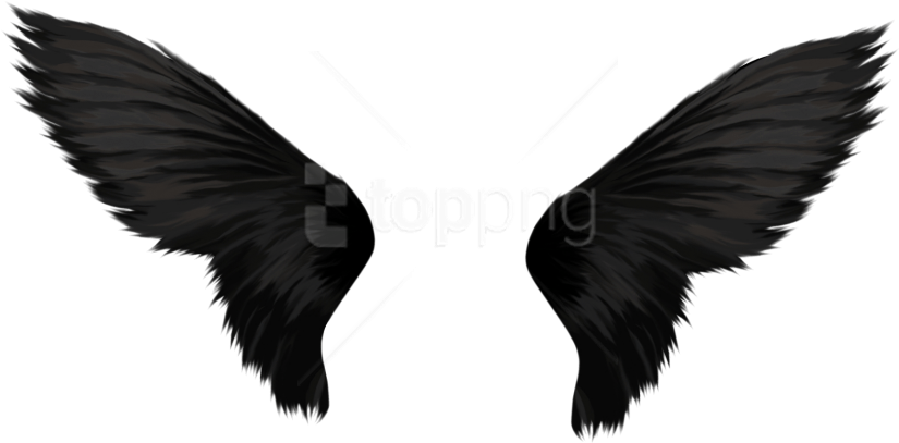 Free Png Download Black Wings Png Images Background - Transparent Background Wings Png Clipart (850x419), Png Download