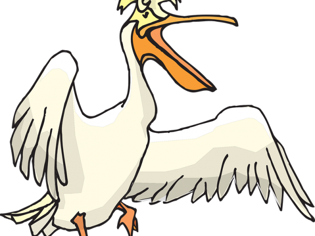 Pelican Clipart Transparent - Clip Art - Png Download (640x480), Png Download