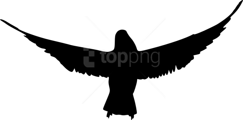 Bird Silhouette Png - Bird Silhouette Bird Png White Clipart (850x421), Png Download