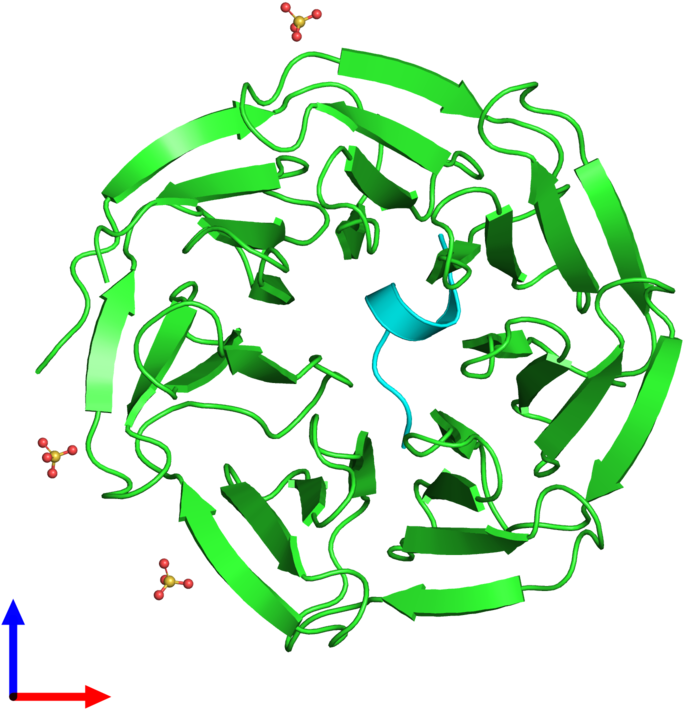 Pdb 3eg6 Coloured By Chain And Viewed From The Front - Illustration Clipart (800x800), Png Download