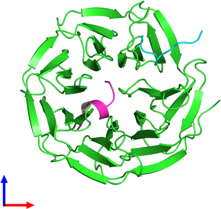 Pdb 3p4f Coloured By Chain And Viewed From The Front - Graphic Design Clipart (800x800), Png Download