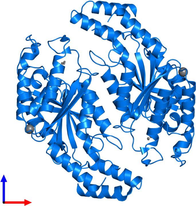 <div Class='caption-body'>pdb Entry 3gff Contains 2 Clipart (800x800), Png Download