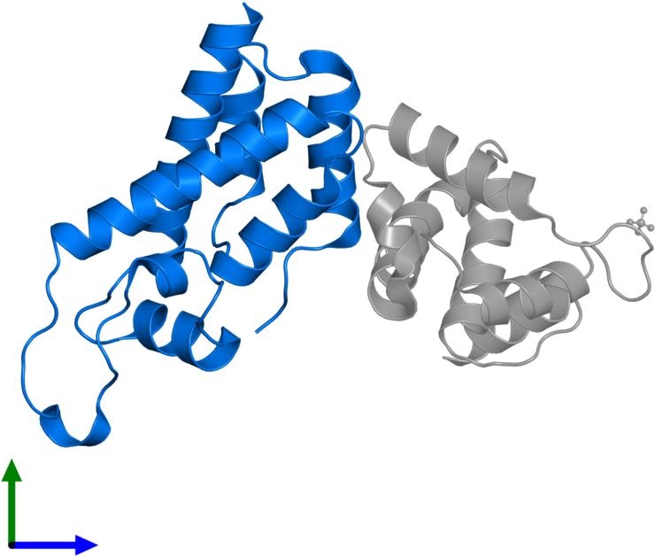 <div Class='caption-body'>pdb Entry 2gol Contains 1 Clipart (800x800), Png Download