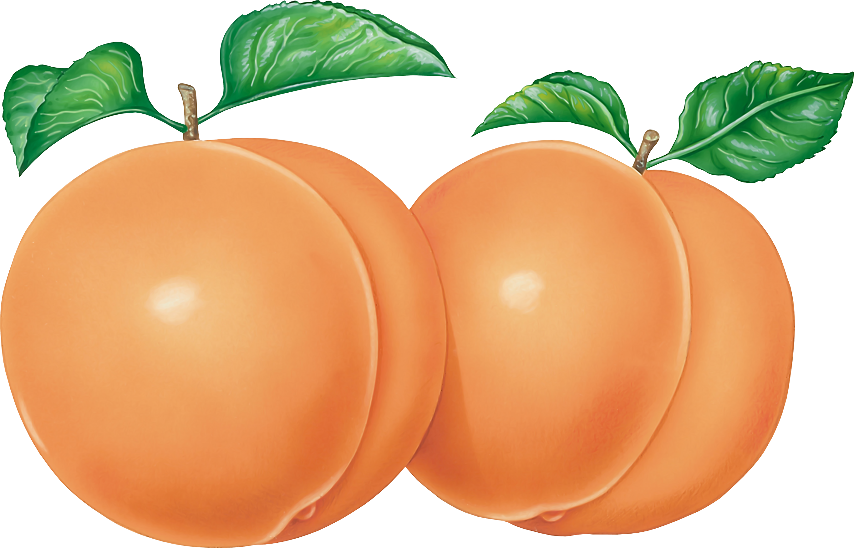 Peach Png Image - Have A Nice Day Butt Clipart (2730x1751), Png Download